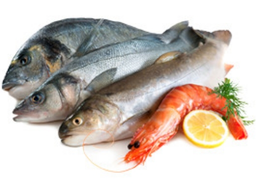 Снимка на Паламуд, Морски риболов, замразен